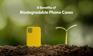 Biodegradable Phone Cases